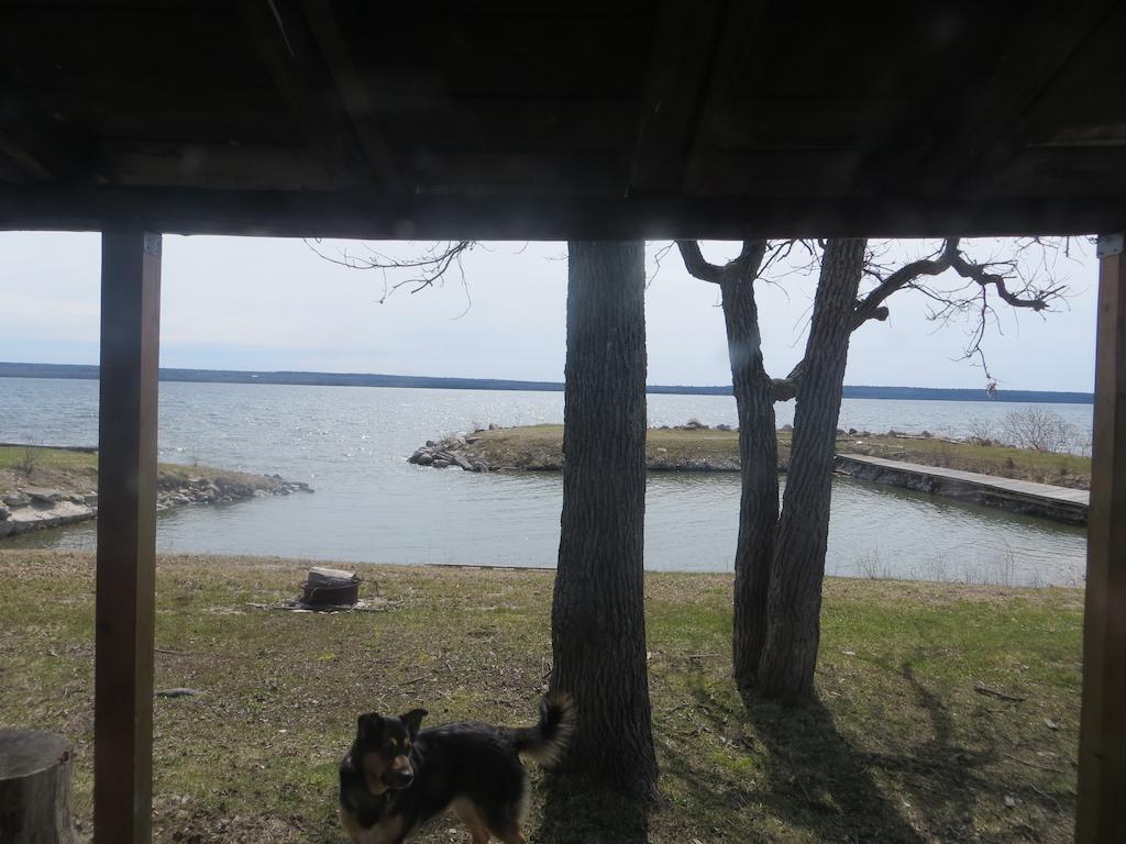 מלון Gore Bay Lake Wolsey Cabins מראה חיצוני תמונה